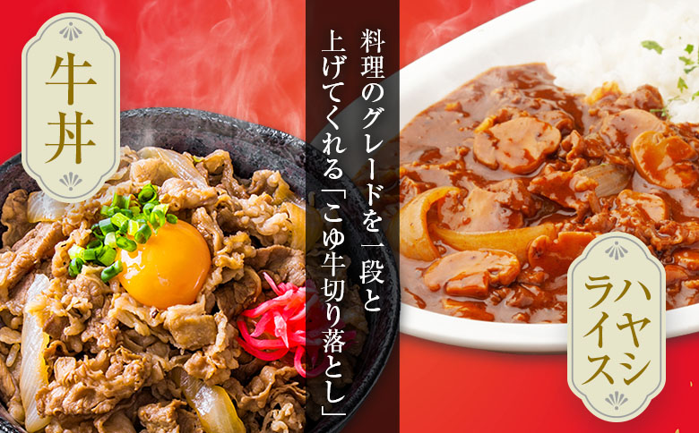 ［訳あり］宮崎黒毛和牛『こゆ牛』切り落とし 計1kg A4等級以上 ブランド牛 宮崎県産 冷凍 和牛 牛肉 国産【B67】