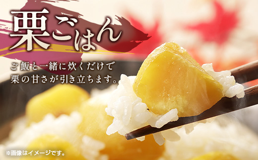 ＜2026年出荷!!＞国産 新鮮朝どれ（生栗）3kg お取り寄せ 産地直送 宝珠栗 数量限定 宮崎県新富町産 先行予約【B670-26】