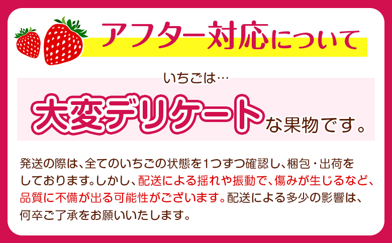 ＜2週間以内出荷!!＞宮崎県産 いちご「ゆめのか」計1kg フルーツ 期間限定 デザート ご褒美【B701】