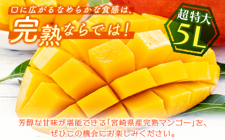 ＜数量限定＞宮崎県産 完熟マンゴー5L×1玉（650g以上）※2026年4月下旬配送開始 化粧箱入 フルーツ くだもの【C358-26】