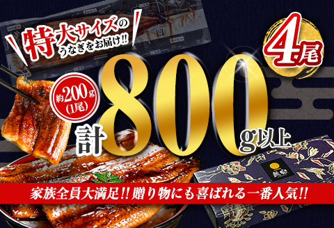 ＜今なら年内お届け!!＞特大 うなぎ 鰻楽 国産 蒲焼 4尾 計800g以上 無頭 高評価 おすすめ 冷凍 簡単調理 個包装 鰻 魚介 贈答品 ギフト 贈り物【C388-800-2512】 2025年12月お届け