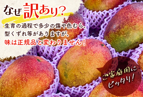 宮崎県産「訳あり」完熟 マンゴー 約2kg（4～8玉）先行予約 南国 フルーツ 果物【C400-26】