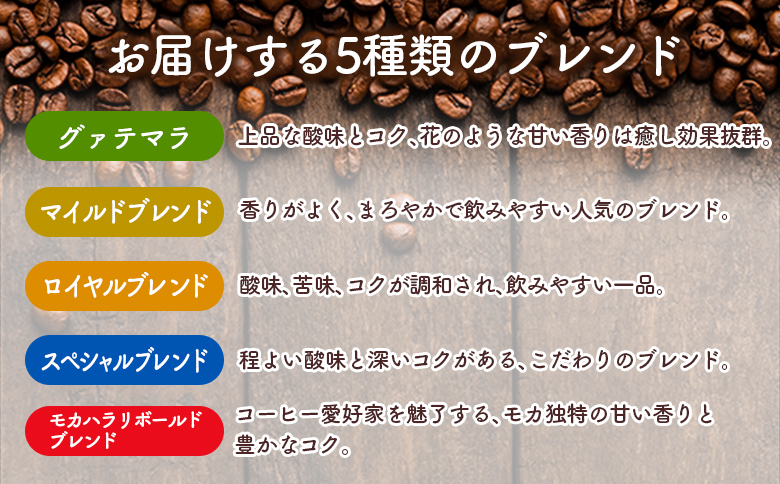 本格珈琲店のオリジナル ドリップ コーヒー 『HIRO』5種 飲み比べ セット 各10袋 8g×50個【C432-25】