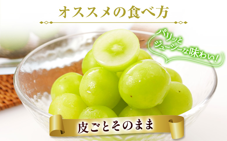 ＜先行予約＞シャインマスカット 3～4房 約2.4kg+100g補償付 宮崎県産 ※2026年8月下旬～【C433-26】