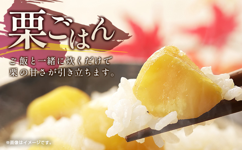 ＜2026年出荷!!＞＜訳あり＞期間限定 国産 新鮮朝どれ（むき栗）1.5kg 産地直送 お取り寄せ 宝珠栗 宮崎県新富町産 先行予約【C448-26】