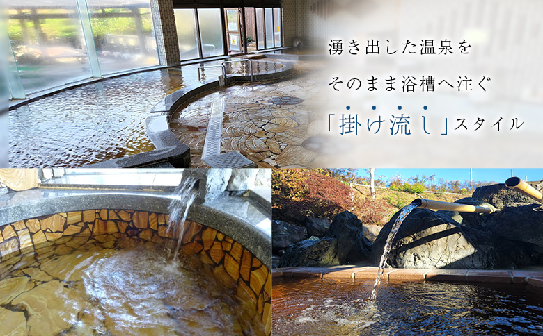 源泉掛け流し 天然温泉［サン・ルピナス］温泉チケット11枚 新富町温泉健康センター 入浴券 無期限 温泉利用券【C454】