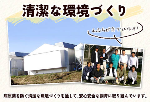 ＜児湯養鶏自慢の卵＞ネッカリッチ赤たまご「児湯一番」 計120個 （20個入×2箱）×3か月定期便【C55】