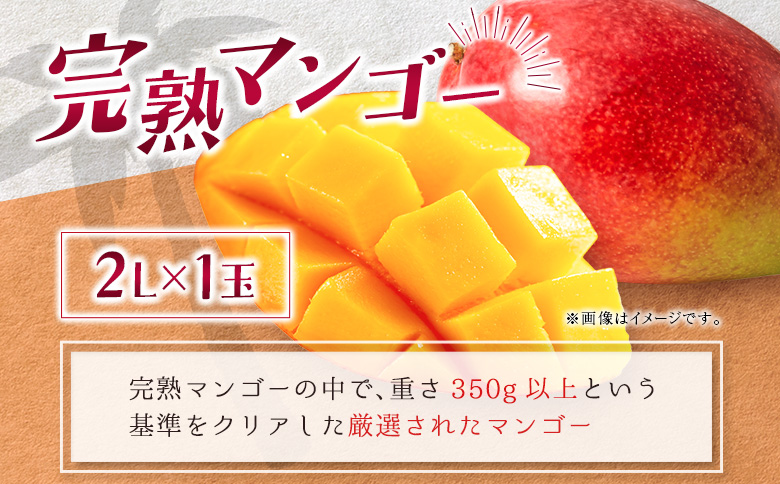 完熟マンゴー＆生ライチ トロピカルセット ≪2026年産≫ 宮崎県産 数量限定 人気 フルーツ 果物 詰め合わせ 化粧箱入り【C74-26】