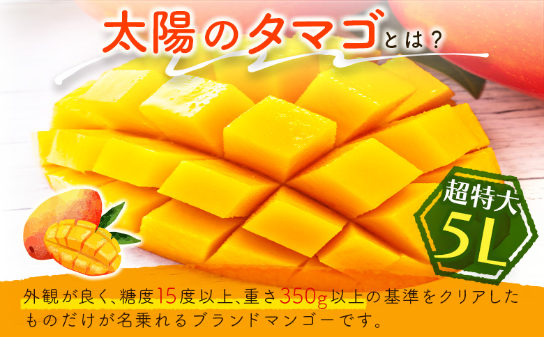 数量限定 宮崎県産 完熟マンゴー＜太陽のタマゴ＞5L×1玉（650g以上）※2026年4月下旬配送開始 化粧箱入 フルーツ くだもの【D114-26】
