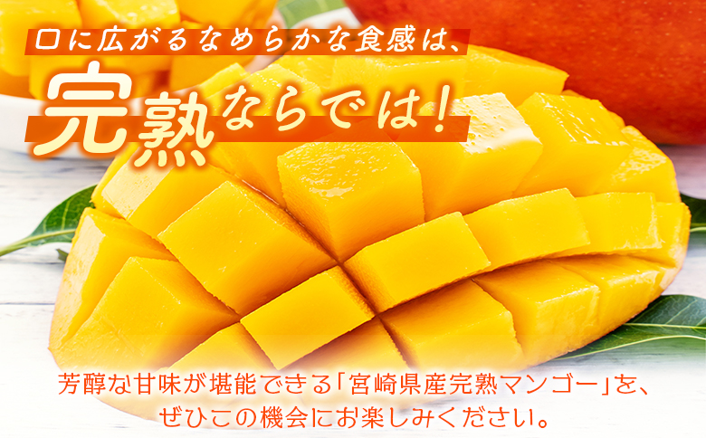 数量限定！＜好き好き定期便＞全4回 完熟マンゴーコース ≪2026年4月下旬配送開始≫ 宮崎県産 フルーツ くだもの 国産【E113-26】