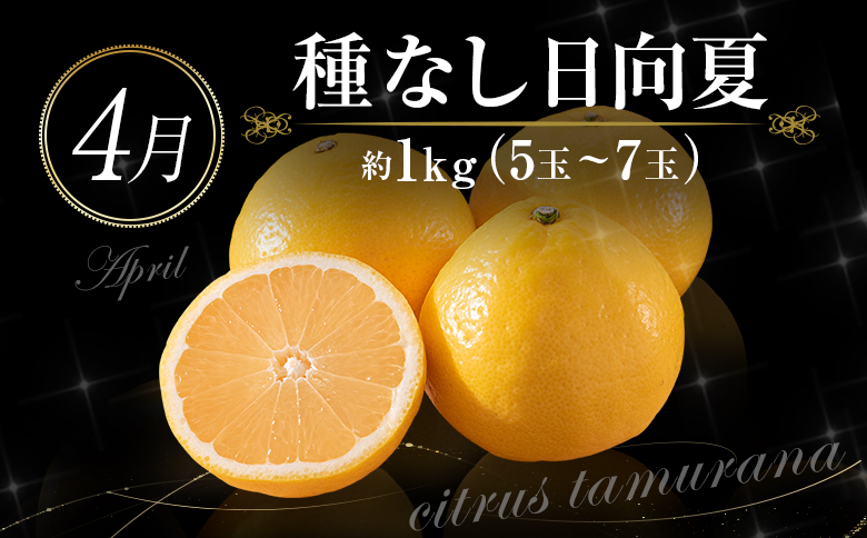 ［計6回］南国宮崎 旬のフルーツ定期便 偶数月コース【E144-24】