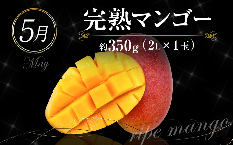 南国宮崎 大人気フルーツ定期便（年4回）【E150】