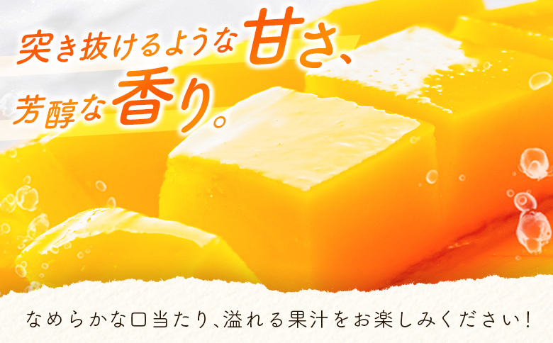 数量限定 宮崎県産 完熟マンゴー＜太陽のタマゴ＞4L×2玉 計1kg以上 ※2026年4月下旬配送開始 化粧箱入 フルーツ くだもの【E169-26】