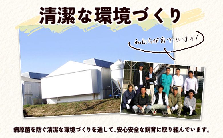 ＜配送開始月が選べる!!＞児湯養鶏自慢の卵 ネッカリッチ赤たまご「児湯一番」 計480個 （20個入×2箱）×12か月定期便 ※2026年3月配送開始【E19-2603】 2026年3月配送開始