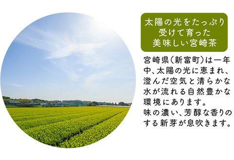 宮崎日本茶専門店 特撰煎茶100g 10本セット お茶 緑茶 ギフト お取り寄せ【E229】