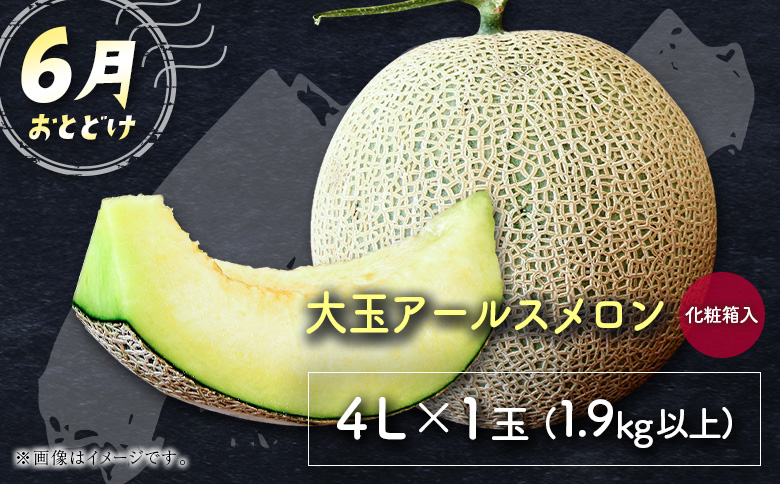 サマーフルーツ定期便 全2回 ＜メロン・マンゴー＆ライチ＞※2026年6月開始 旬 果物【E242】