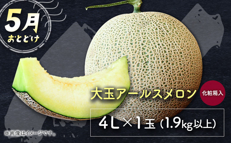 サマーフルーツ定期便 全3回＜メロン・マンゴー・ライチ＞ ※2026年5月開始 旬 果物【E244】