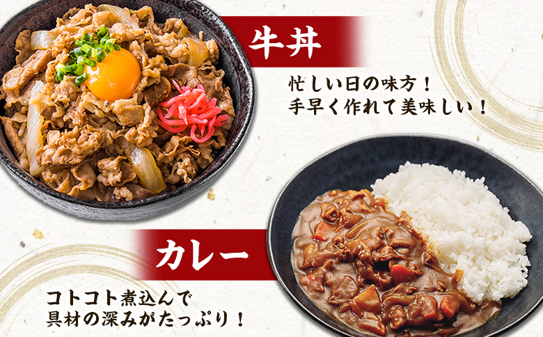 宮崎牛 小間切れ 便利な小分け 200g×10P 計2kg 人気 冷凍 国産【E246】