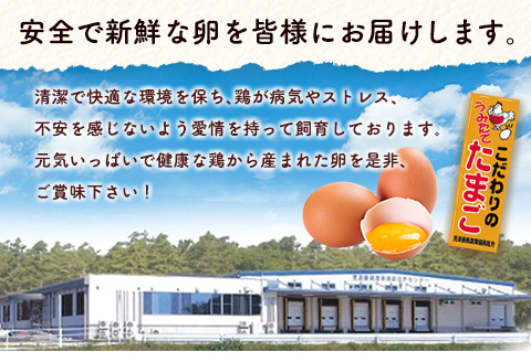 新鮮 たまご 定期便 児湯の赤卵30個×12か月定期便 数量限定 期間限定 国産 おすすめ 人気 生活応援【E253-09】