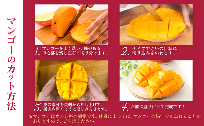 宮崎特産「完熟マンゴー4L×2玉」お届け定期便（全3回）計6玉 特産 国産 果物 フルーツ 旬 産地直送 大玉【F142-26】