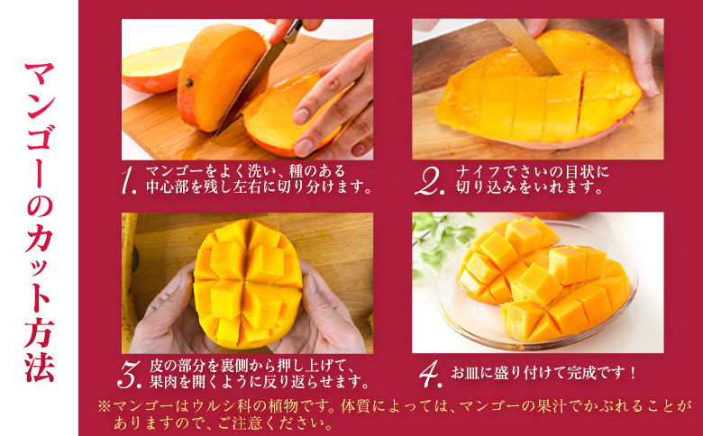 宮崎特産「完熟マンゴー4L×2玉」お届け定期便（全4回）計8玉 特産 国産 果物 フルーツ 旬 産地直送 大玉【F144-26】