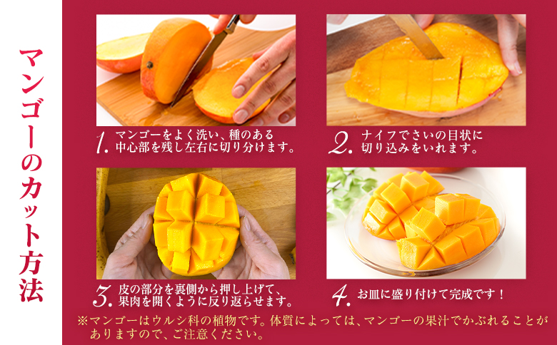 宮崎特産「太陽のタマゴ2L×2玉」お届け定期便（全3回）計6玉 特産 国産 果物 フルーツ 旬 産地直送【F145-26】