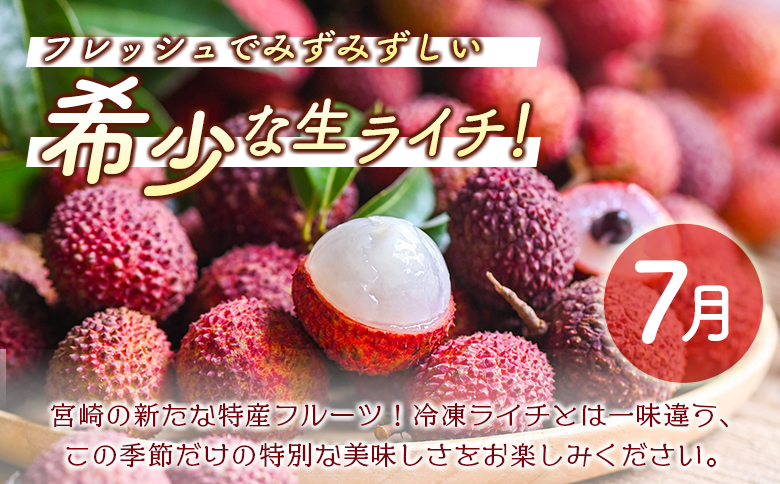 数量限定！＜好き好き定期便＞全4回 人気フルーツコース≪2026年5月配送開始≫ 宮崎県産 フルーツ くだもの 国産【F149-26】