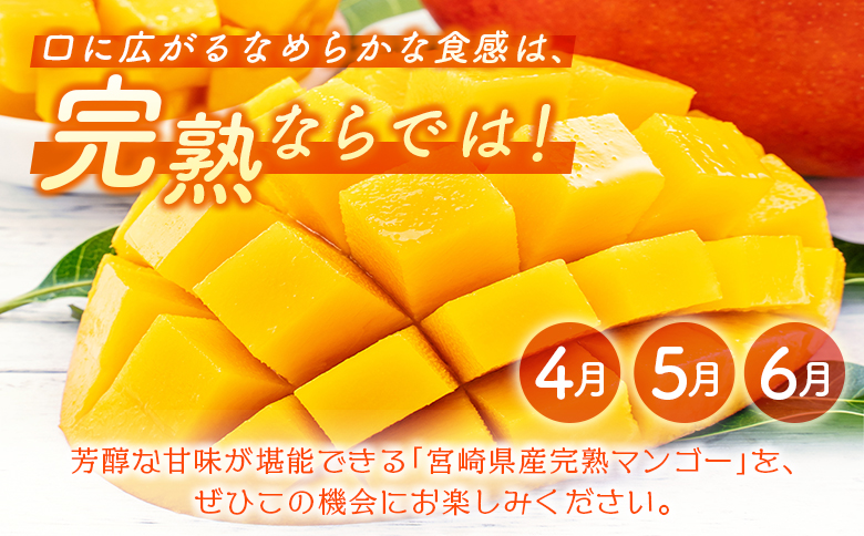 ＜数量限定＞新富町 特産フルーツ 詰め合わせ 定期便 7か月コース くだもの マンゴー ライチ メロン 柑橘 国産【F150-26】