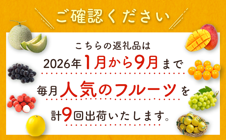 ＜数量限定＞新富町 特産フルーツ 詰め合わせ 定期便 9か月コース くだもの マンゴー ライチ メロン シャインマスカット ぶどう 柑橘 国産【F151-26】