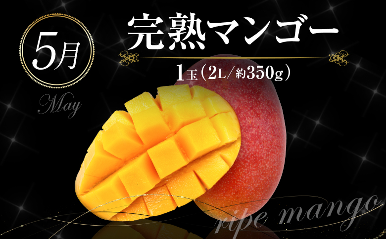 ［計6回］南国宮崎 〈特選〉旬のフルーツ定期便 奇数月コース【F85】