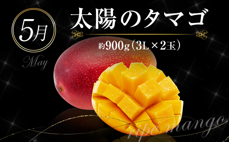 南国宮崎 旬の《至高》フルーツ定期便 奇数月コース（計6回）【F95-24】