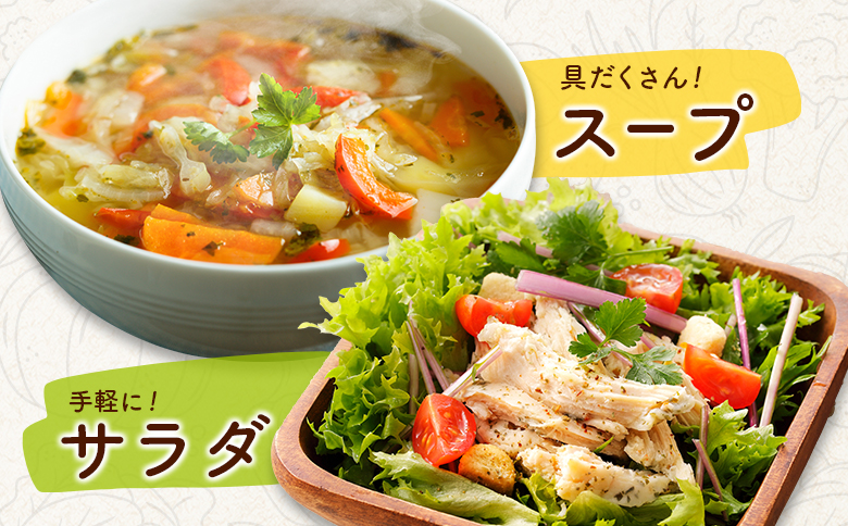 ＜数量限定＞新富町 特産 野菜 詰め合わせ 定期便 12か月コース 旬 やさい 国産 ≪2026年1月配送開始≫【G51-26】