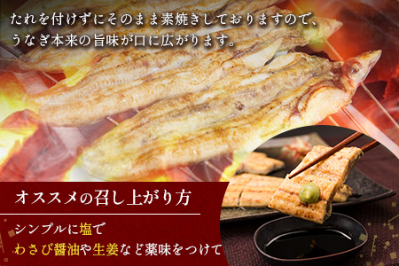 前日配送予約［土用丑の日］うなぎ白焼き 4尾 タレ付（150～200g/1尾あたり）※前日7月25日お届け 国産 有頭 熨斗 贈答品 ギフト 配送日指定可【N46-A26】 4尾（150〜200g/1尾あたり）