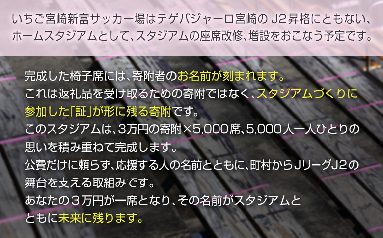 ＜寄附のみ＞ 返礼品なし いちご宮崎新富サッカー場 改修整備 1口 30,000円 J2昇格 テゲバジャーロ宮崎 サッカー Jリーグ J2 スポーツ 社会貢献 地域活動 応援寄附 ファン サポーター【S27】