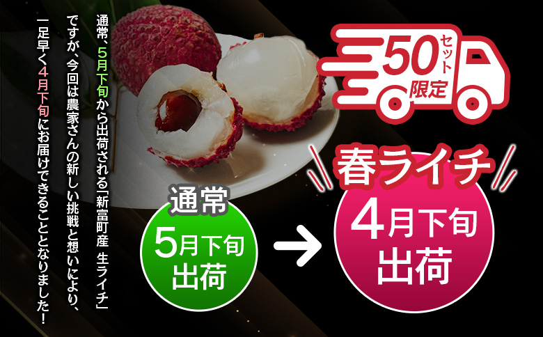 ［50セット限定］旬を先取り！4月出荷の春ライチ「モリノライチ」数量限定 ※4月20日～4月28日 期間内出荷 国産 ブランド フルーツ 果物 贈答品【S30】
