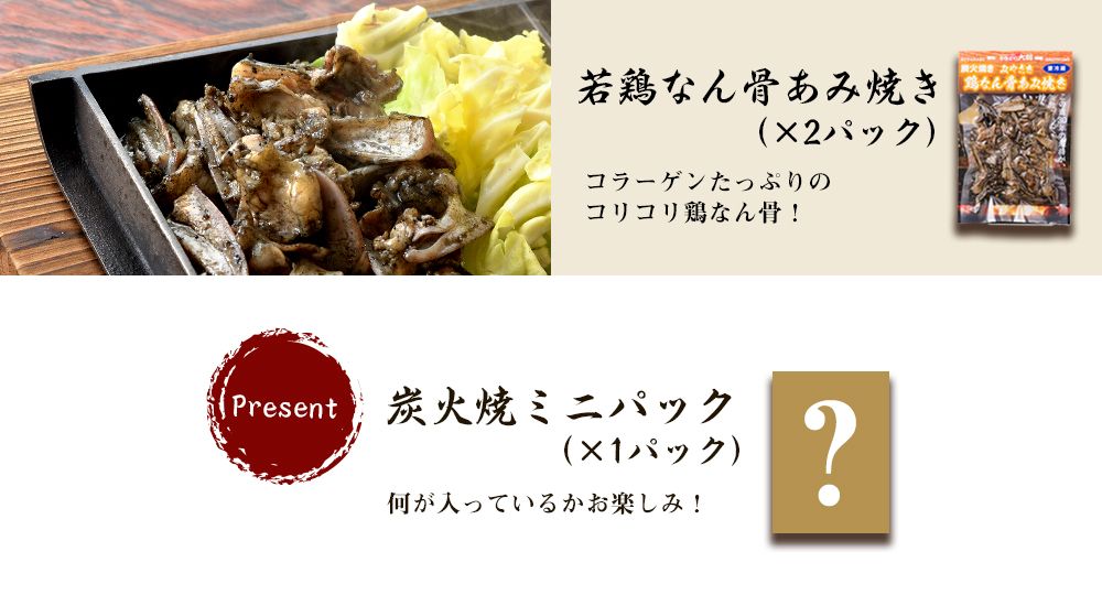 炎の鶏炭火焼きセット＜9パック+ミニ1パック＞ 8ヶ月定期便【F1-2503】