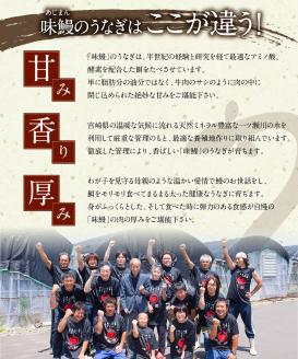 ＜2ヵ月に1回お届け＞新仔!味鰻の本格手焼備長炭蒲焼2尾（無頭）×6回定期便【E165】