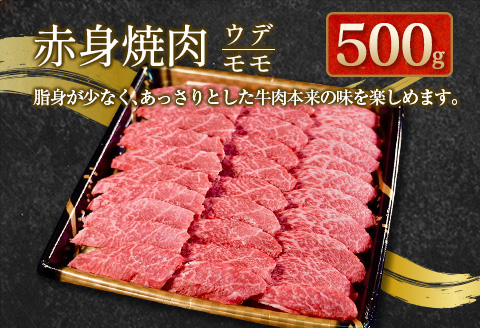 宮崎和牛『齋藤牛』特選焼肉盛合せセット 合計1kg【D116-60】