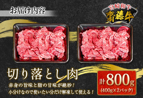 宮崎和牛『齋藤牛』切り落とし肉 計800g (400g×2パック)【B548-60】
