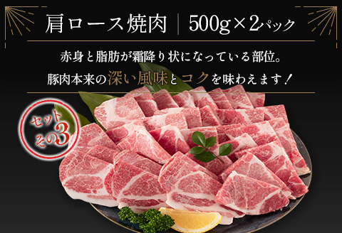 宮崎県産豚 3種 食べ比べ 焼肉 セット（500g×6パック）計3kg 国産 肉 豚肉 ご飯 おかず BBQ 焼き肉【C370-2510-90】