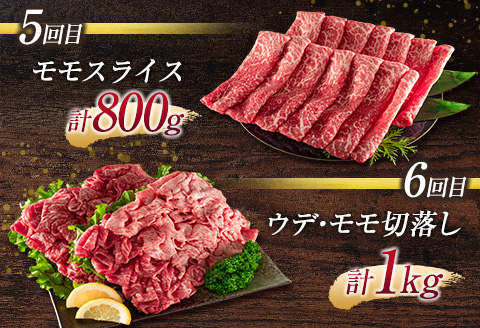 《お楽しみ 6種》［宮崎牛］スペシャル 6か月定期便 総重量4.6kg【F107】