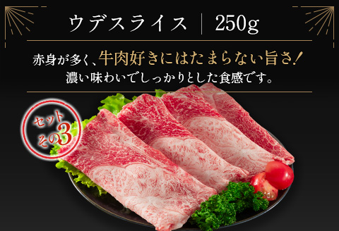 ＜肉質等級4等級＞宮崎牛 4種 食べ比べ スライス セット（各250g×4パック）合計1kg 国産 肉 牛肉 ご飯 おかず【D118-2510-90】