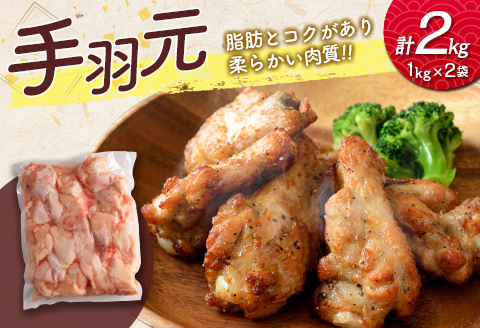 宮崎県産鶏肉 スペシャル鶏三昧セット 合計5kg【B607-2505】