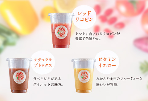 「定期便12か月コース」南国酵素スムージー　200ml×6本セット×12回