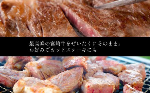 宮崎牛 ロースステーキ 合計500g（250g×2P） 国産 肉 牛肉 ご飯 おかず BBQ ディナー お祝い 【C270-30】