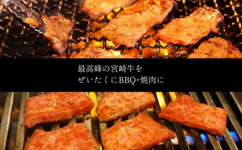 宮崎牛 焼肉 切り落とし 合計1kg（500g×2P）ウデ 牛肉 切り落し 切落し BBQ 国産 普段使い 九州産【C269-30】