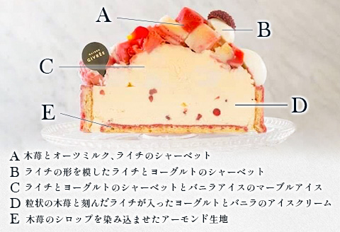 《江森宏之シェフ作》新富町産「モリノライチ」アイスケーキ 5号サイズ 1個 15cmホール【D131】