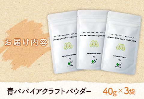 酵素の王様！青パパイアクラフトパウダー（40g×3袋）［皮なし粉末タイプ］【B630】