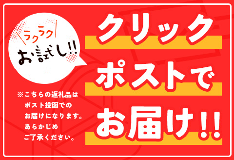 ［お試し］青パパイアグリーンカレー（200g×2個）ポスト投函【P5】