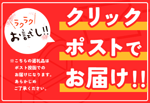 ［お試し］青パパイアパウダー（40g×1袋）皮なし粉末タイプ ポスト投函【P8】